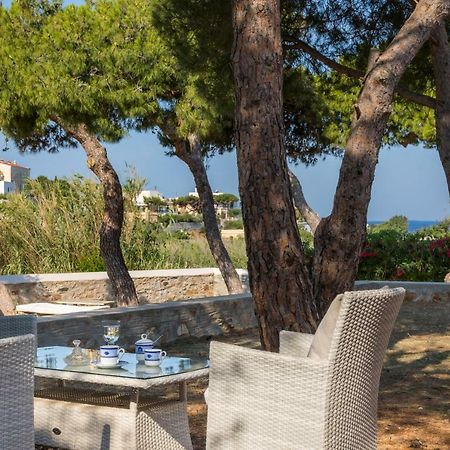 Dellagracia Mansion In Poseidonia Syros Villa Posidhonía Buitenkant foto